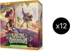 Disney Lorcana: Wilds Unknown Prerelease Box Case